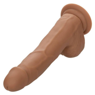 CALIFORNIA EXOTICS - CLOUS EN SILICONE 20.32 CM MARRON